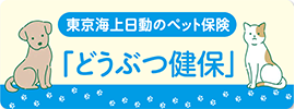 車を借りたら忘れずに 1DAY保険