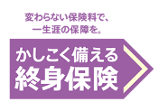 アフラック かしこく備える終身保険のロゴ画像